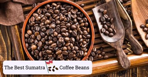 best sumatra coffee beans