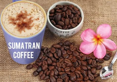 best sumatra coffee beans reviews