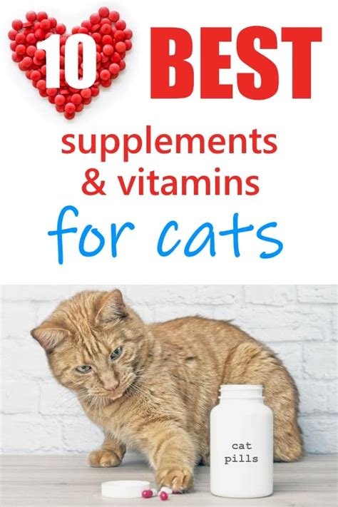 Best Supplements For Cats