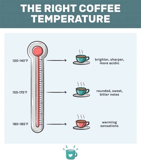 Best Temperature For Hot Drinks