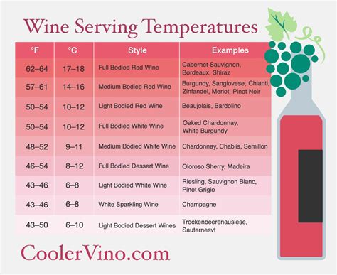 Best Temperature For Red Wine In Wine Cooler