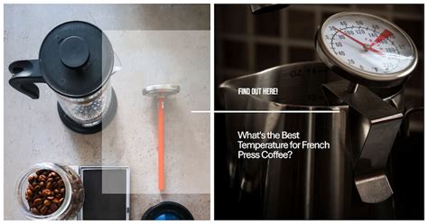 Best Temperature French Press