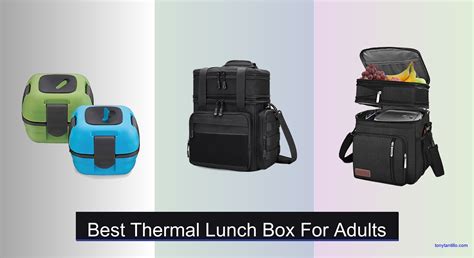 Top 10 Best Insulated Lunch Boxes Lunch Boxes That Keep Food Warm