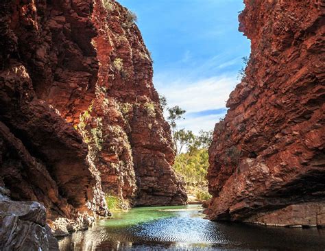 best things to do in alice springs