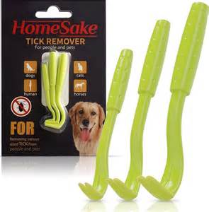 Best Tick Removal Tool Human