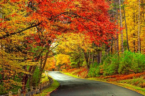 best time for leaves in new england