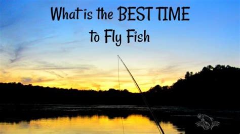 Best Time to Fly Fish in the US