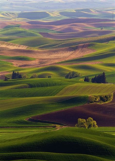 best time of year to photograph the palouse