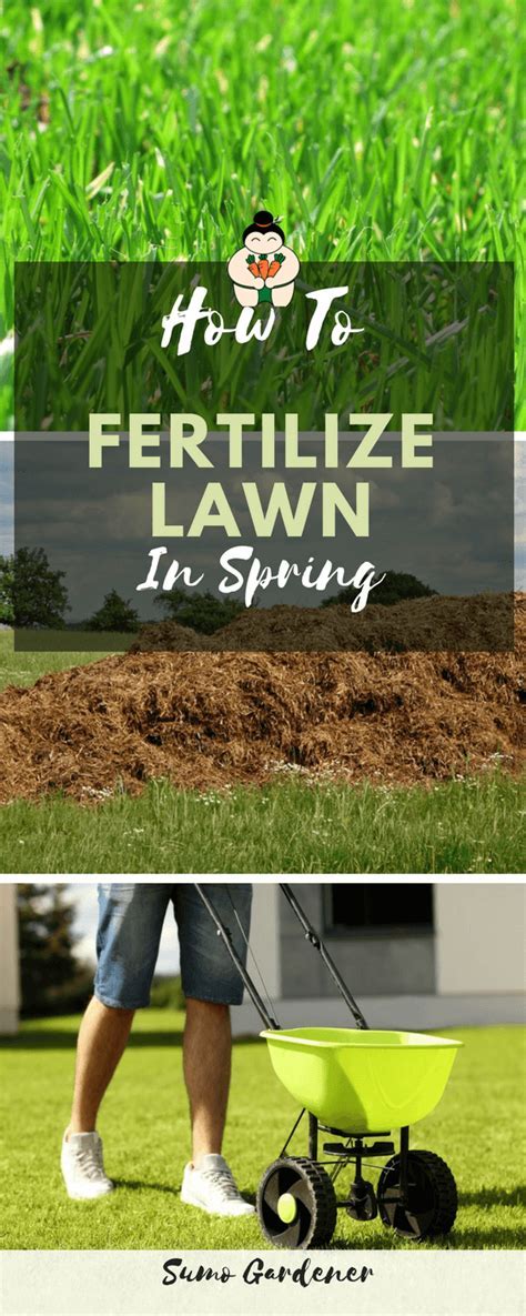 What Time Of Day To Fertilize Lawn