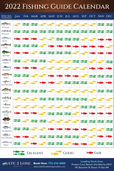 Knowing the Best Times to Fish