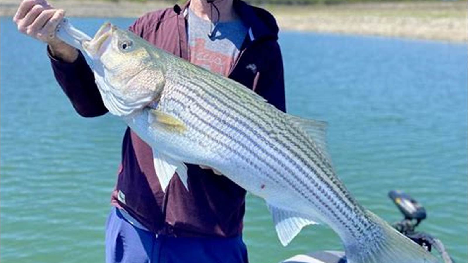 Best Time to Fish in Lake Travis
