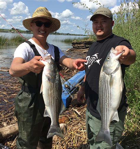 best time to fish in Rio Vista