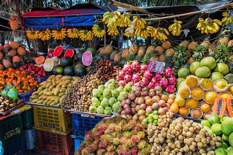 best time to go to thailand for fruits