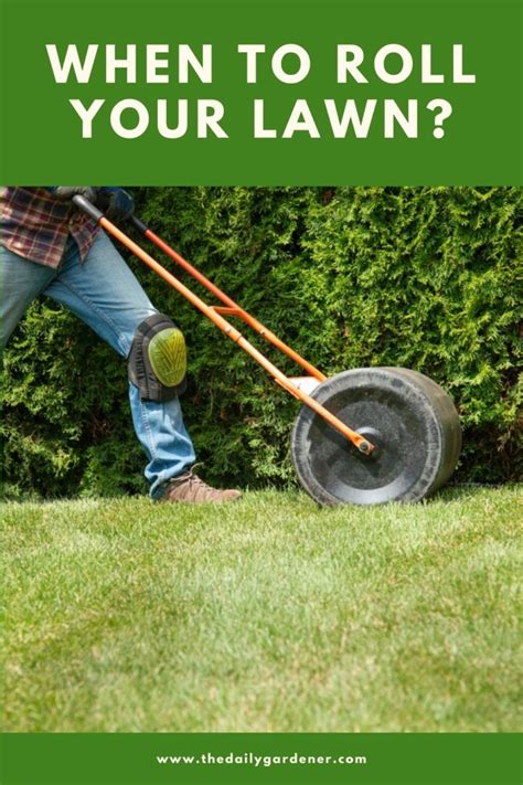 Roll Lawnthe Choice is Not Lazy, and Those who Know the Value of Time