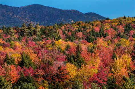 best time to see new england foliage
