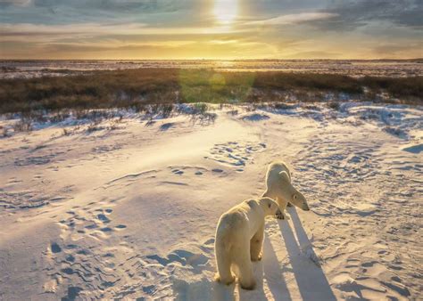 best time to visit churchill manitoba canada