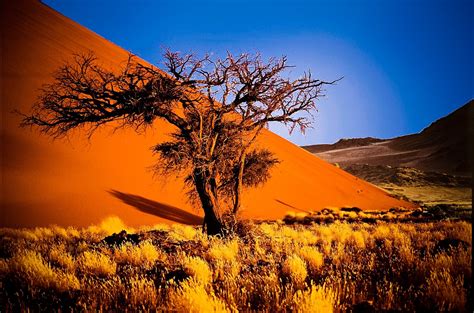 best time to visit namibia and botswana