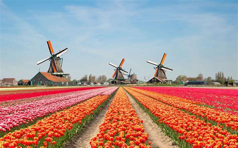 best time to visit netherlands and belgium