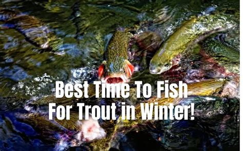 best times for fishing nj