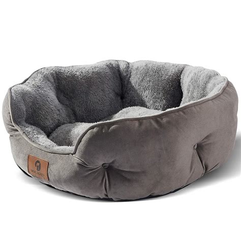 Best Tiny Dog Beds