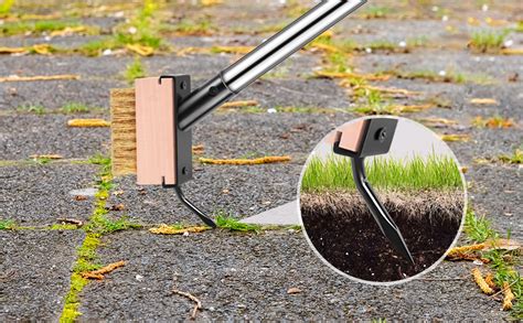 Best Tool For Weeding Pavers