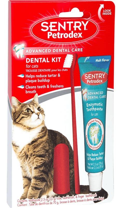 Best Toothpaste For Kittens