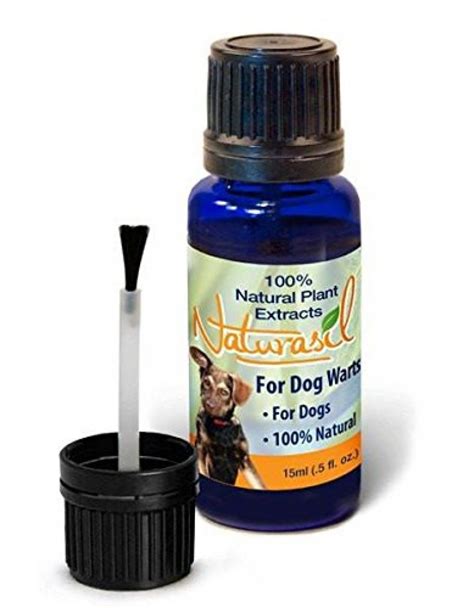 best treatment for dog warts