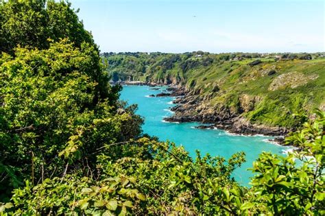 Best Trees For Seaside