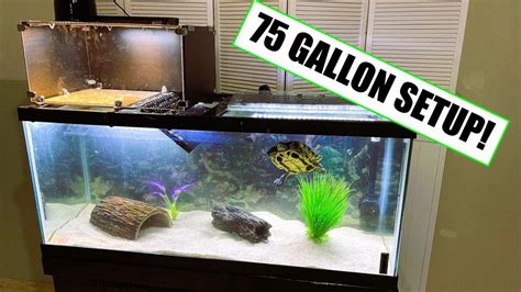 Best Turtle Tank Setup