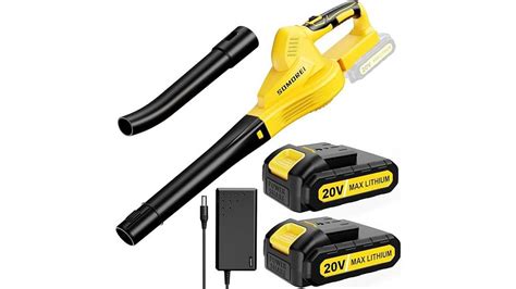 Best Value Battery Leaf Blower