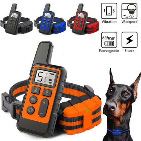 Best Value Shock Collar