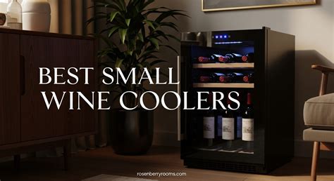 Best Value Small Wine Cooler