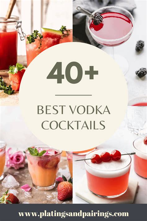 Best Vodka Premixed Drinks