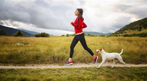 best walks for dog owners