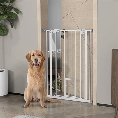 Best Wall Mounted Dog Gate