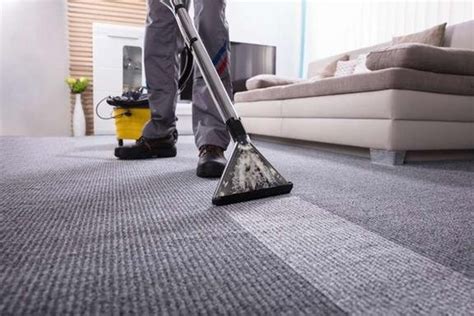 best way rug furniture cleaners wheaton il