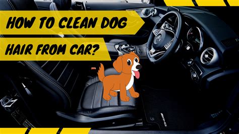 Best Way To Clean Pet Hair From Car