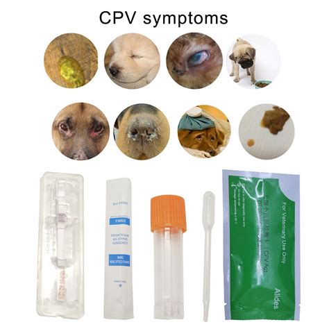 Best Way To Get A Stool Sample From A Dog