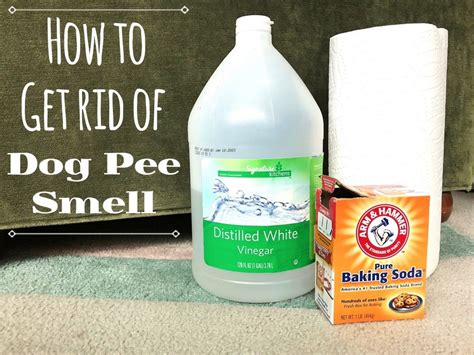 best way to get rid of dog urine smell on wood