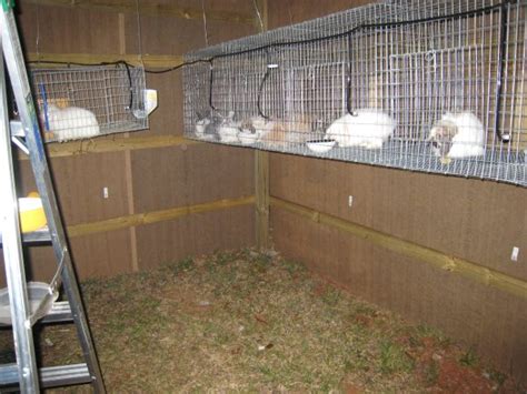 Best Way To Hang Rabbit Cages