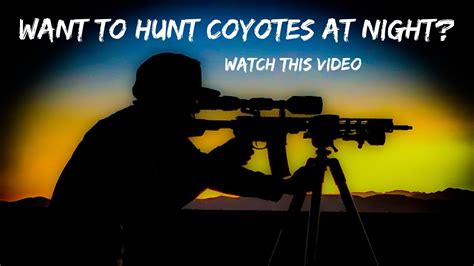 best way to hunt coyotes at night