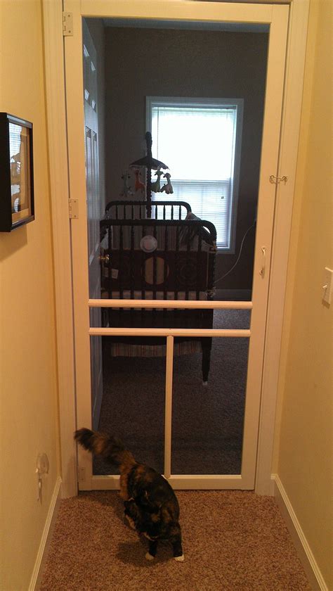 Best Way To Keep Cats Out Of The Bedroom