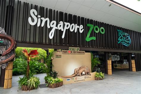 best way to see singapore zoo