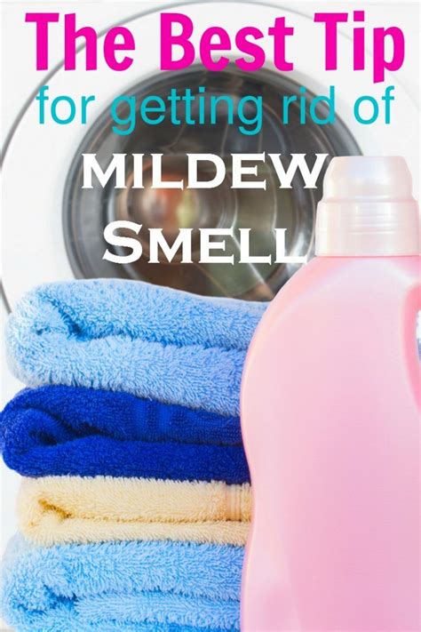 How To Kill Mold Smell