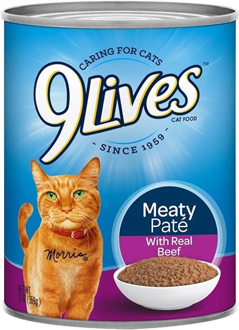best wet cat food 2023