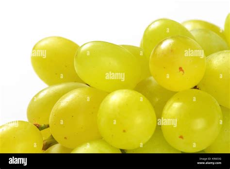 Best White Table Grapes