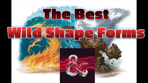 Best Wild Shape For Stealth