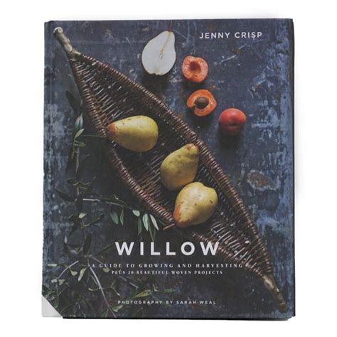 Best Willow Weaving Book
