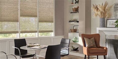 Best Window Covering Options