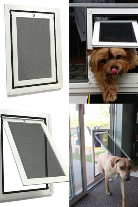 best window screen for pets